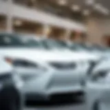 Lexus car models lined up showcasing affordability