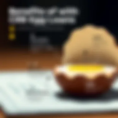 An infographic illustrating the benefits of CRB Best Egg loans