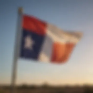 The Texas state flag waving in the wind