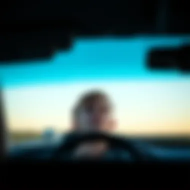 Young driver facing challenges in Florida's auto insurance landscape