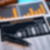 A detailed budgeting chart illustrating income versus expenses