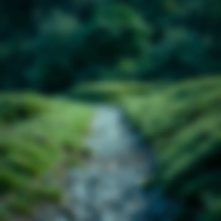 A pathway leading through a financial landscape