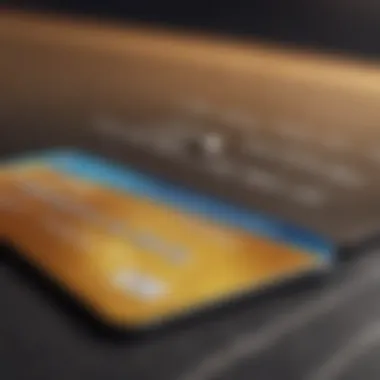 Leading Credit Card Companies in the U.S. Overview of leading credit card companies