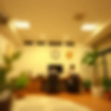 Visual representation of the application process for equity lines